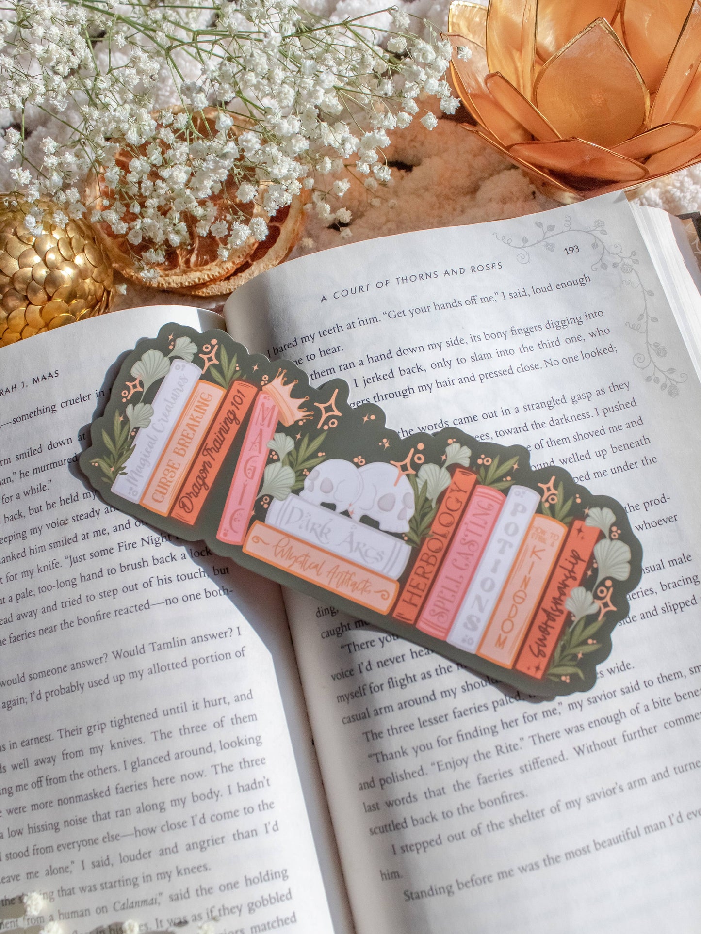 Bookmark - Cozy Fantasy Bookshelf