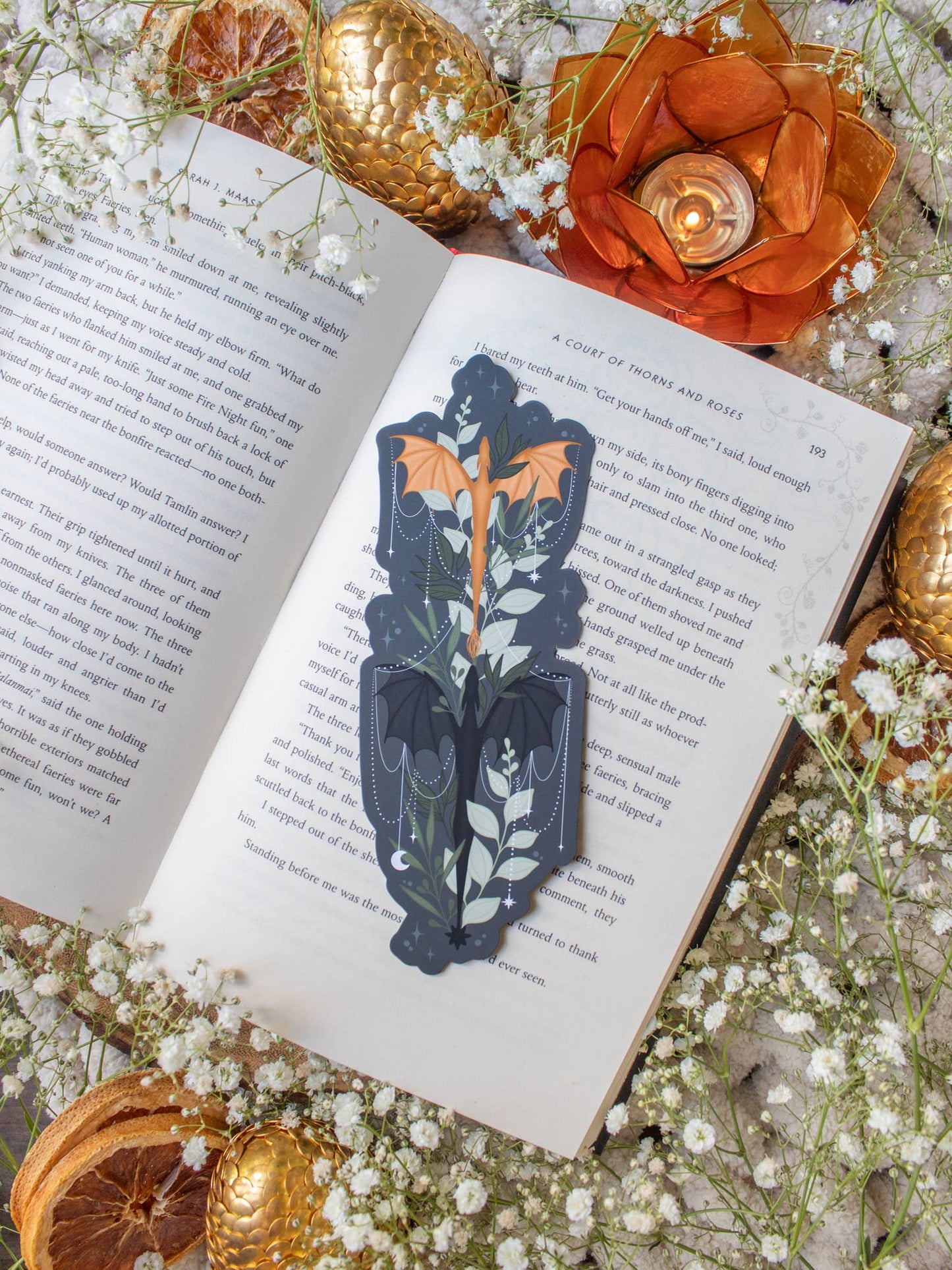 Bookmark - Die Cut - Tairn and Andarna
