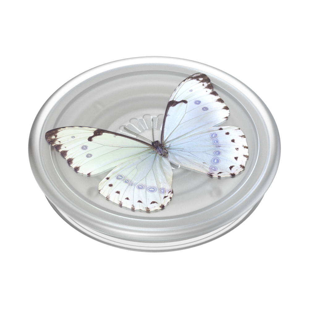 PopSockets Plant-Based Phone Grip - Whisper Moth