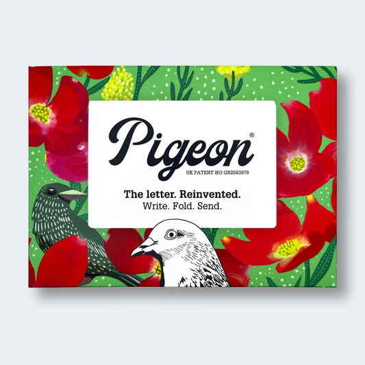 Dusk to Dawn Pigeon letter pack