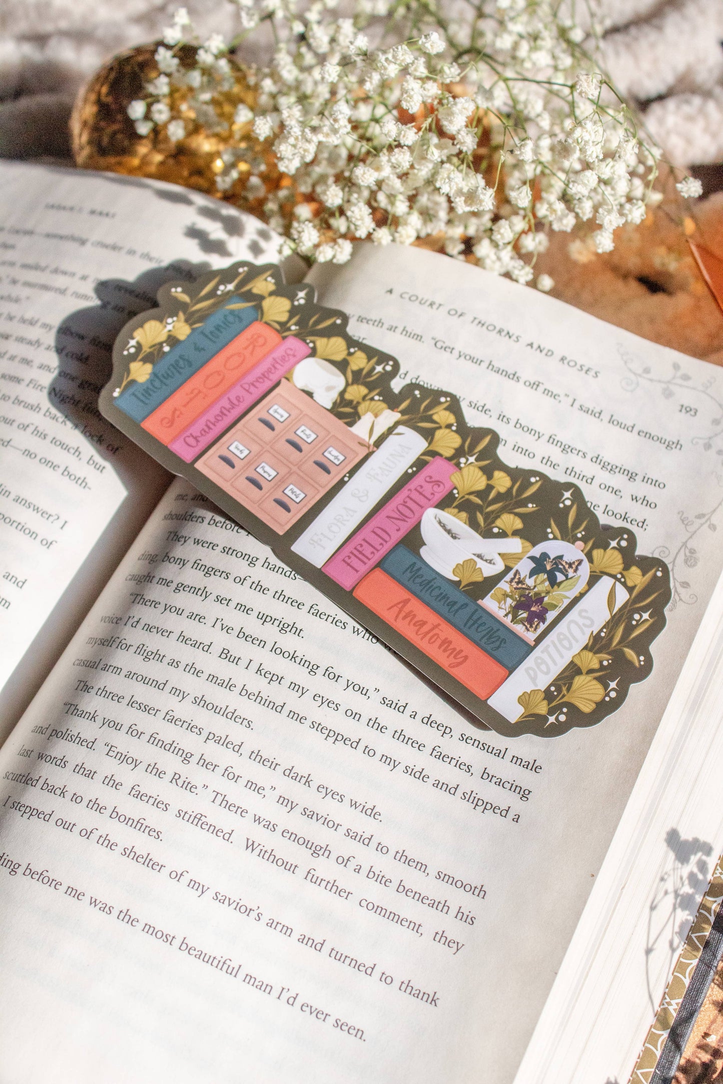 Bookmark - Apothecary Bookshelf