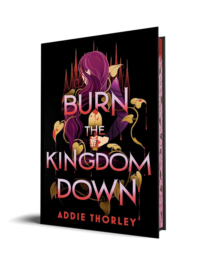 Burn the Kingdom Down cover image