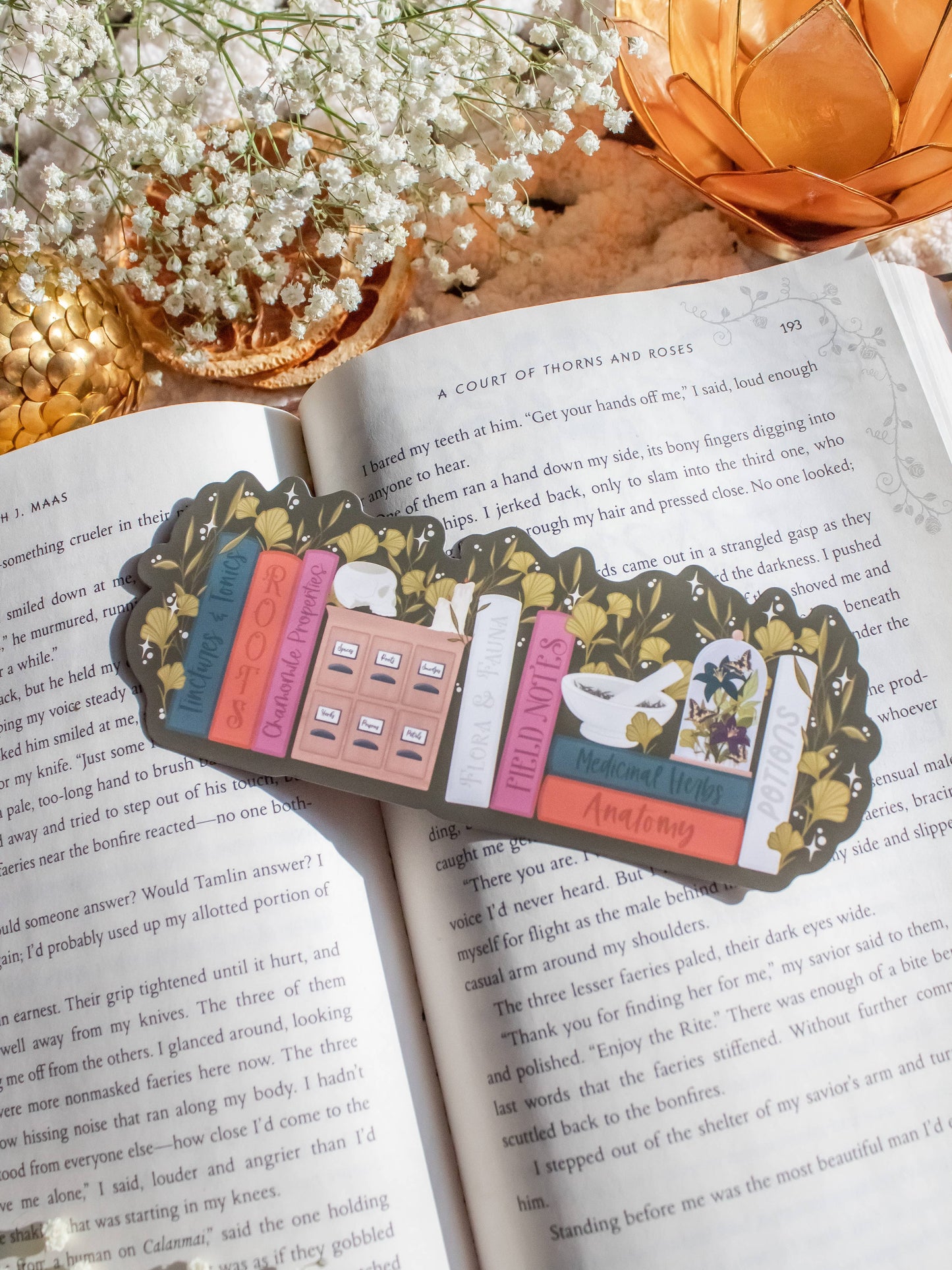Bookmark - Apothecary Bookshelf